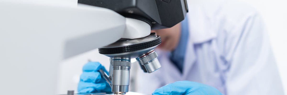 Biochemie (Bachelor) – Arbeitsumfeld