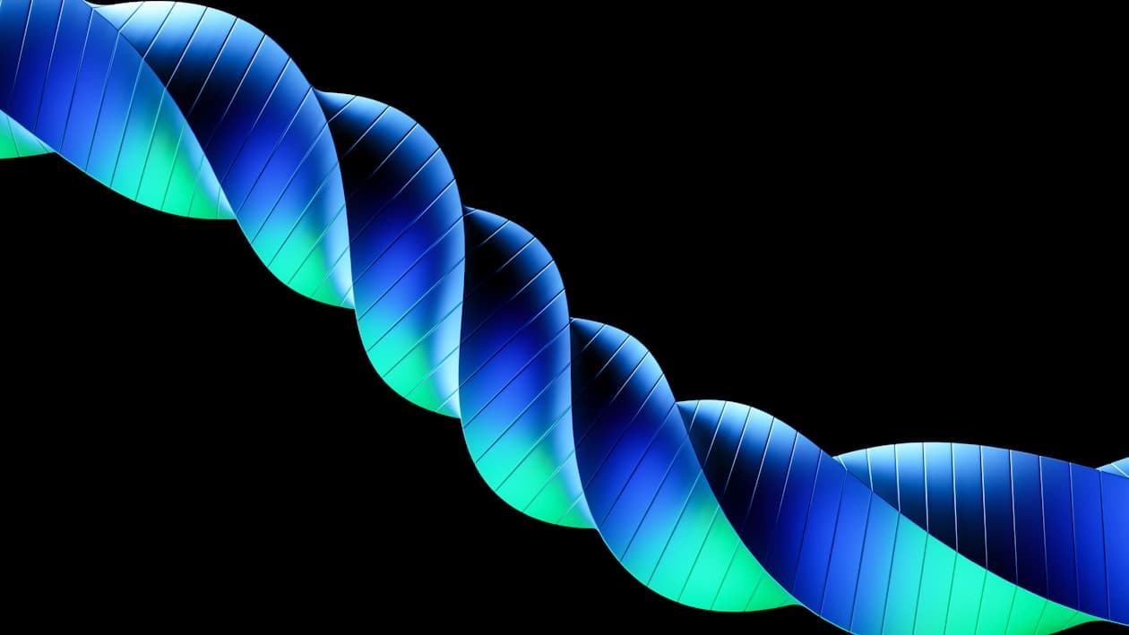 Biomathematiker/Biomathematikerin – Arbeitsumfeld