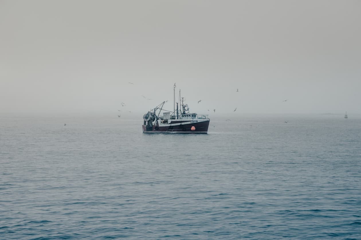 Fischwirt/Fischwirtin Fachrichtung Küstenfischerei und Kleine Hochseefischerei – Arbeitsumfeld