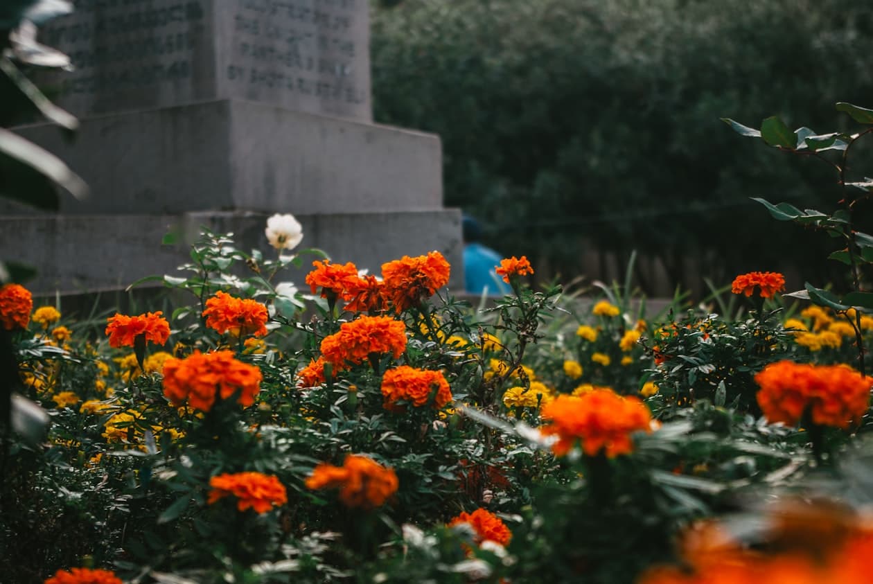 Gärtnermeister/Gärtnermeisterin Fachrichtung Friedhofsgärtnerei – Arbeitsumfeld