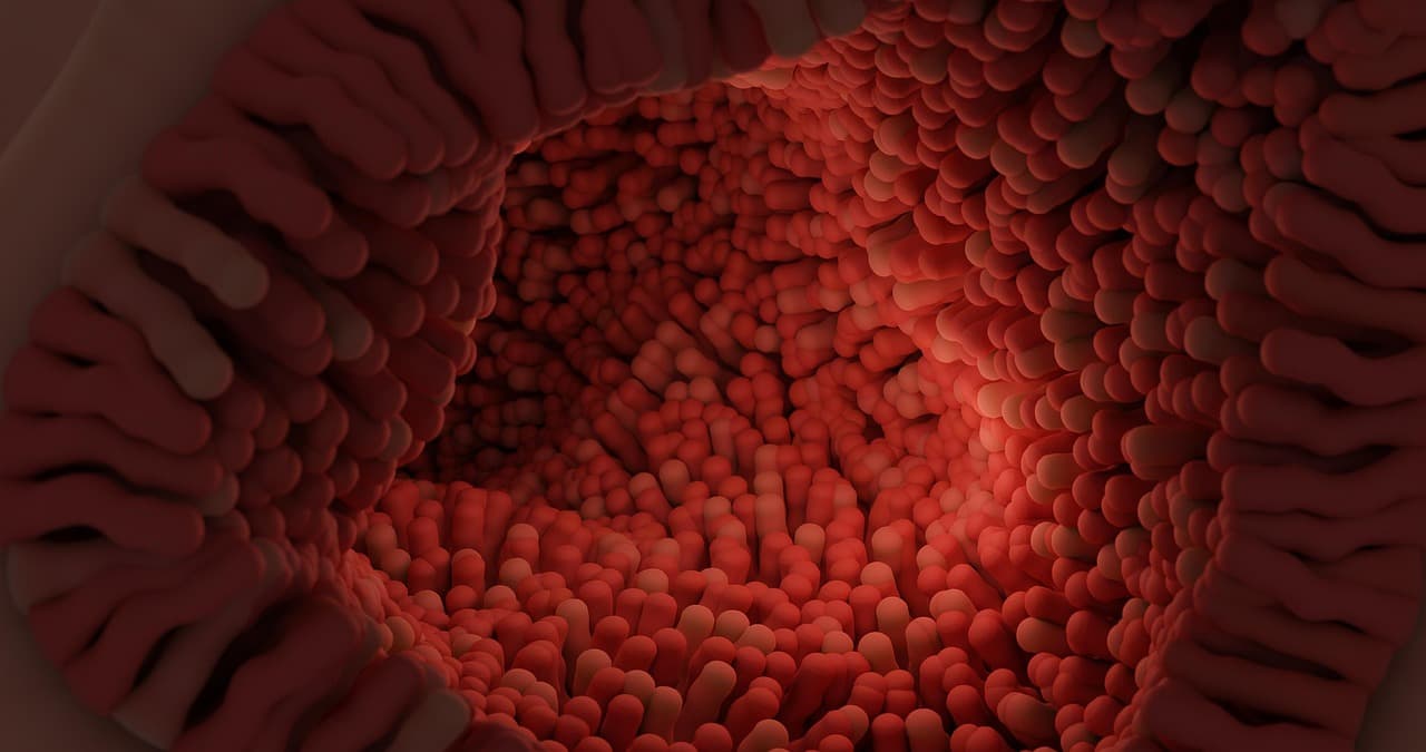 Facharzt/Fachärztin für Innere Medizin und Gastroenterologie – Arbeitsumfeld