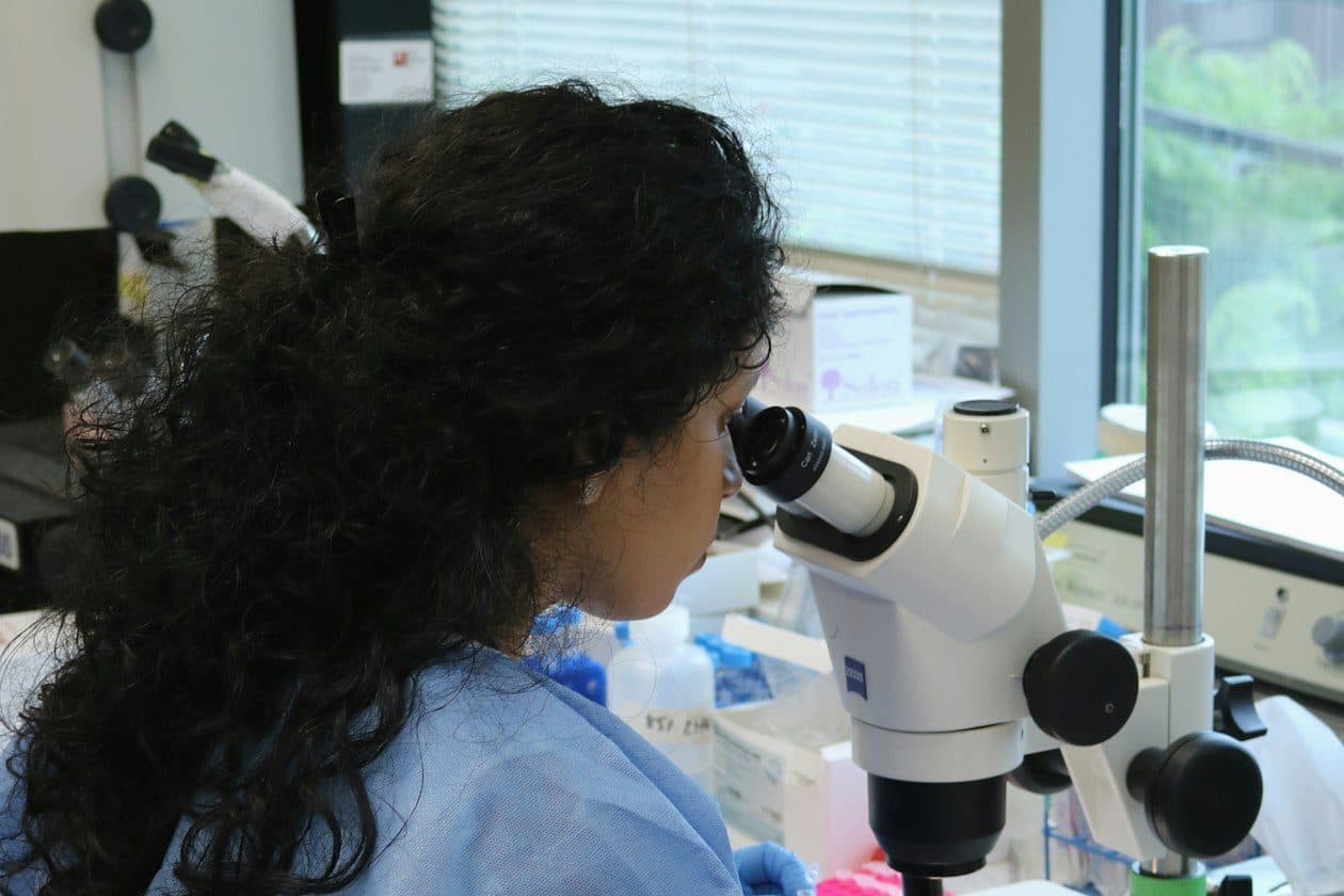 Humanbiologe/Humanbiologin – Arbeitsumfeld