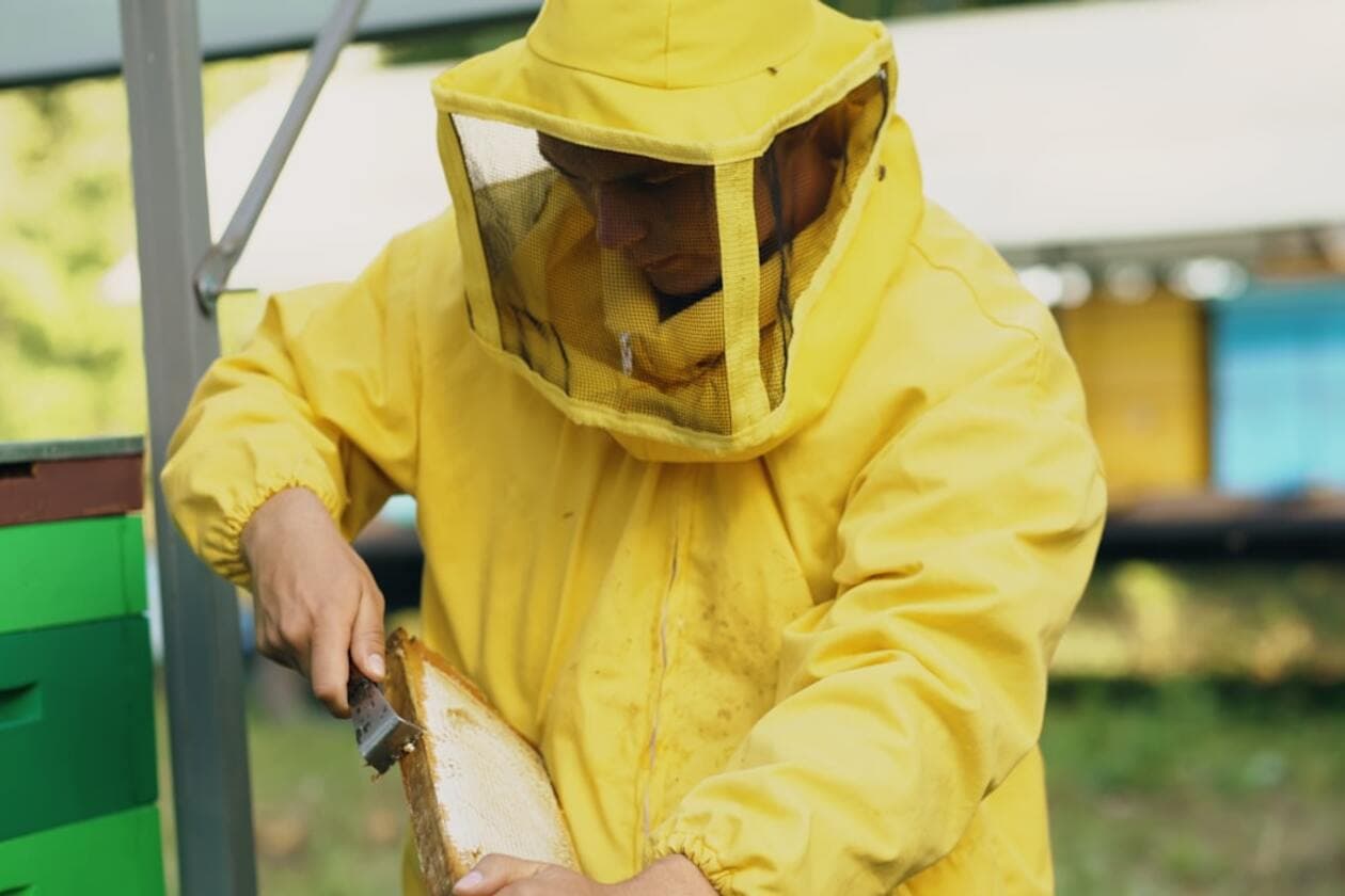 Tierwirt/Tierwirtin Fachrichtung Imkerei – Arbeitsumfeld