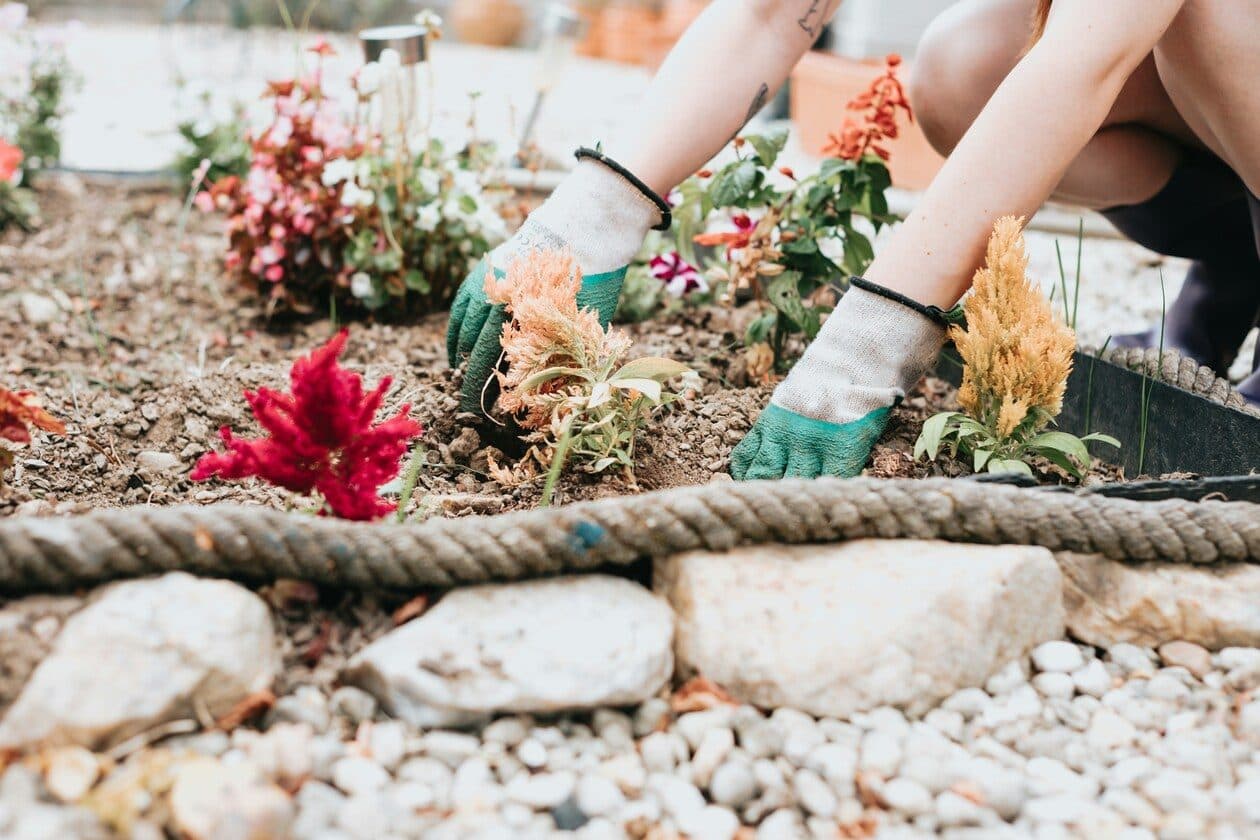 Gartengestalter/Landschaftsgestalter / Gartengestalterin/Landschaftsgestalterin – Arbeitsumfeld