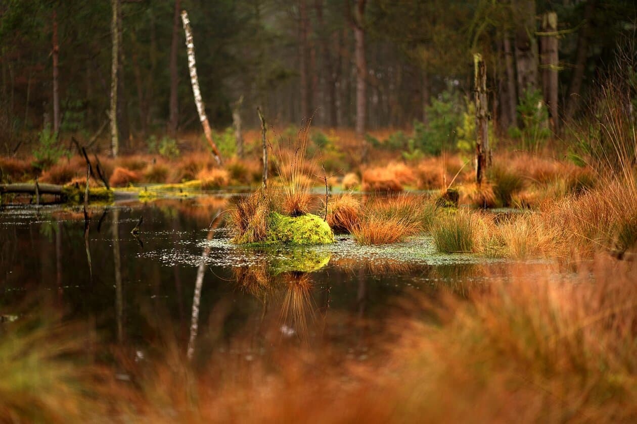 Geprüfter Natur- und Landschaftspfleger/Geprüfte Natur- und Landschaftspflegerin – Arbeitsumfeld