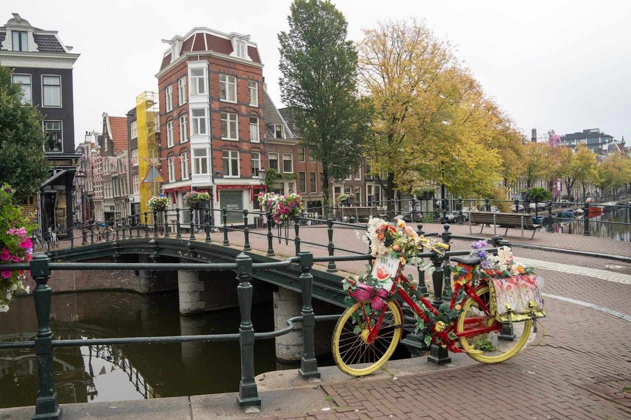 Niederlandistik (Bachelor) – Arbeitsumfeld