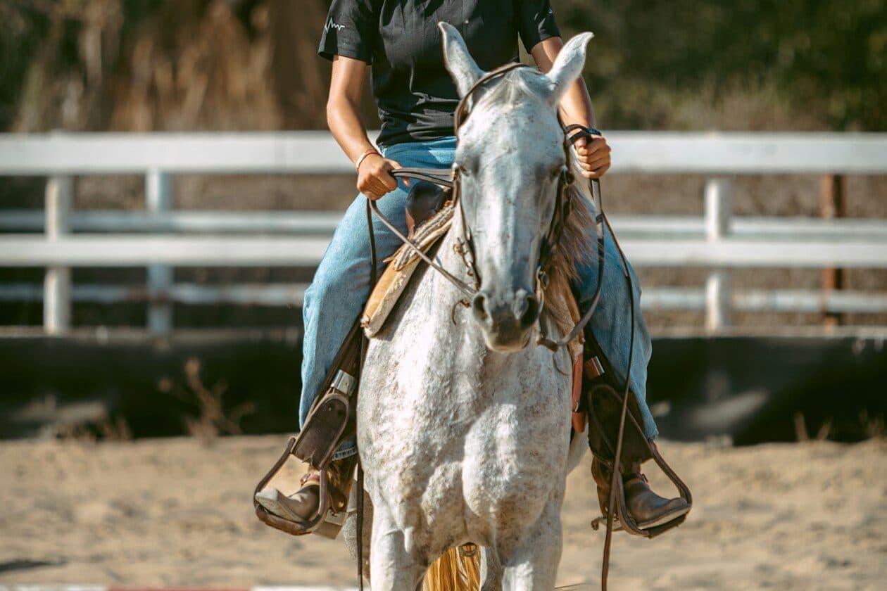 Reittherapeut/Reittherapeutin – Arbeitsumfeld