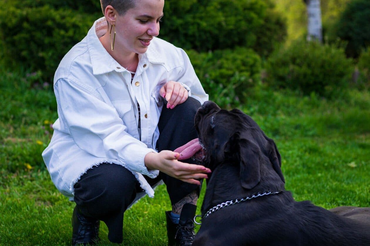 Tierpsychologe/Tierpsychologin – Arbeitsumfeld