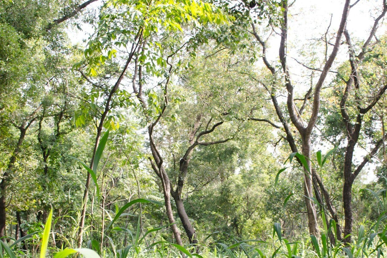 Umweltwissenschaft (Bachelor) – Arbeitsumfeld