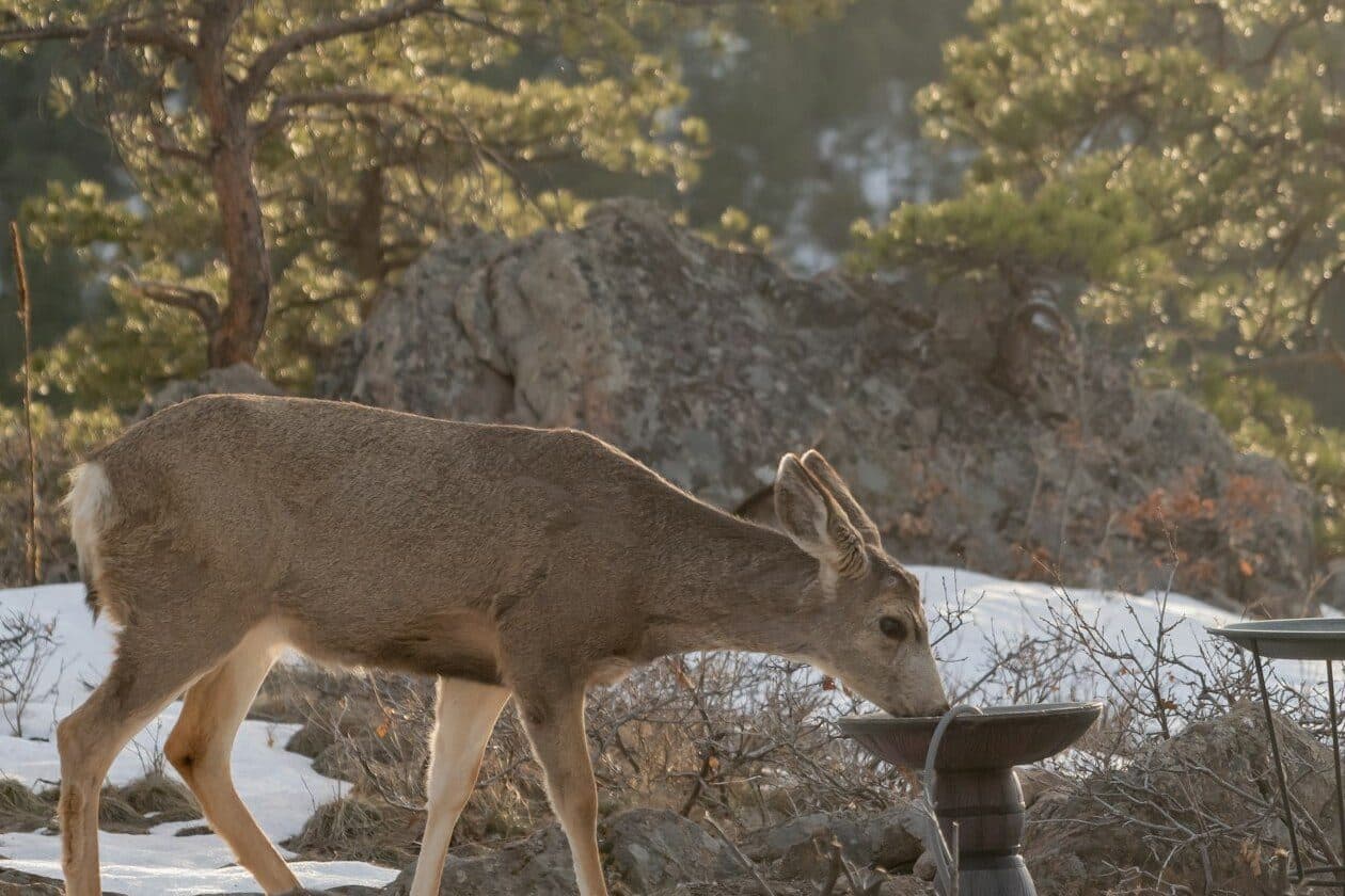 Wildheger/Wildhegerin – Arbeitsumfeld