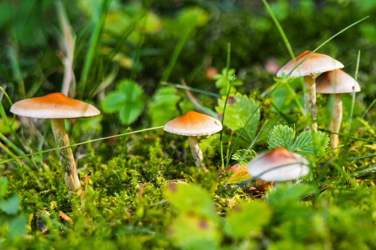 Natur- und Wirkstoffchemiker/Natur- und Wirkstoffchemikerin – Arbeitsumfeld