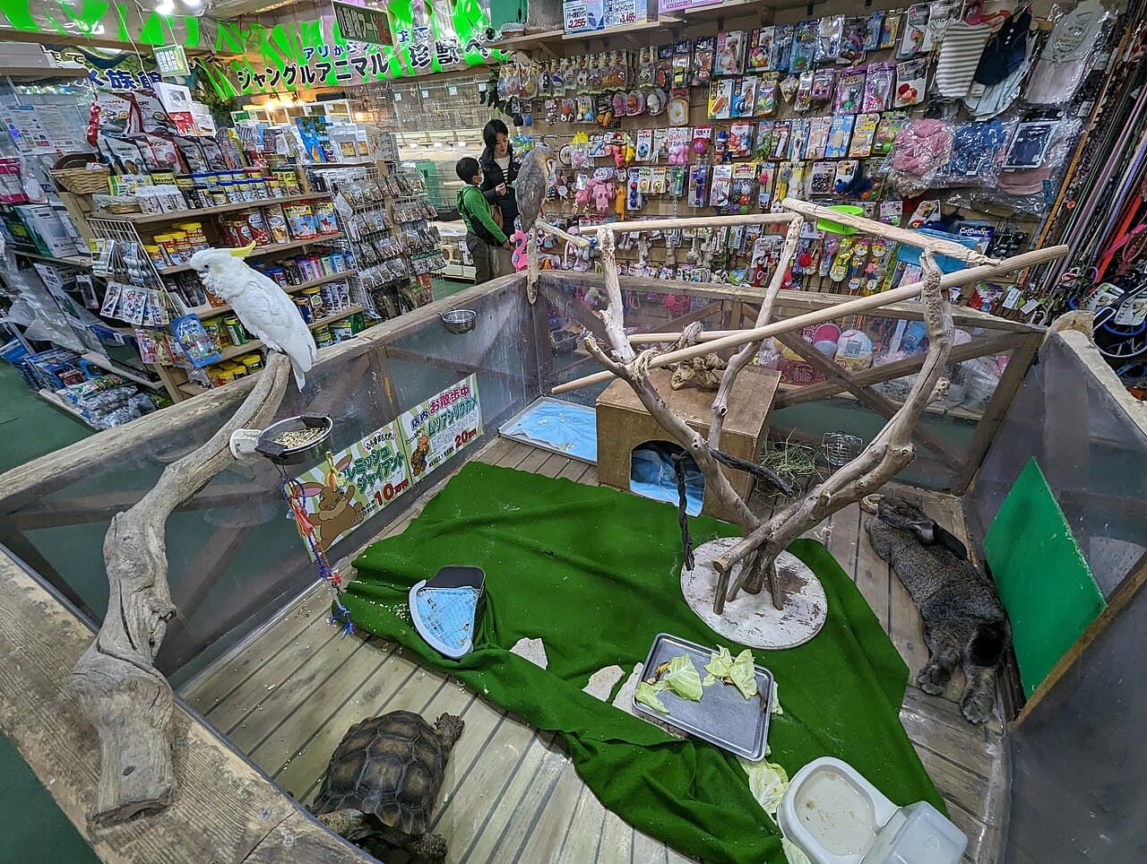 Fachverkäufer/Fachverkäuferin für Zoobedarf und Heimtierverkauf – Arbeitsumfeld